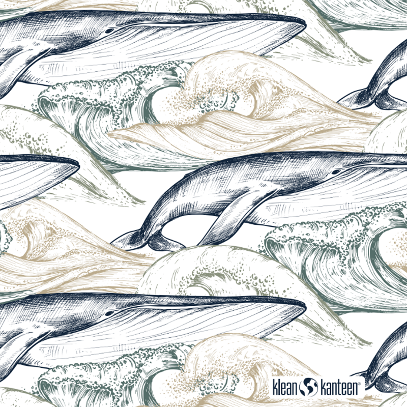 20oz-tkwide-with-twist-cap-ocean-day-h3 20oz_tkwide_bottle_seasonal_ocean_day_whale_artwork_square.png
